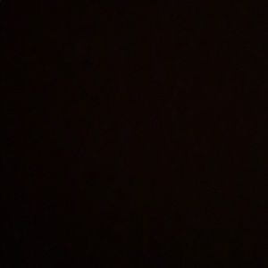 Meet your Posher, Chandler